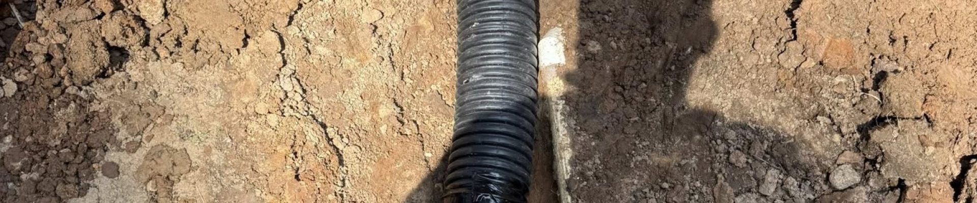 540667085_1314958700426894_4459852571585731950_n