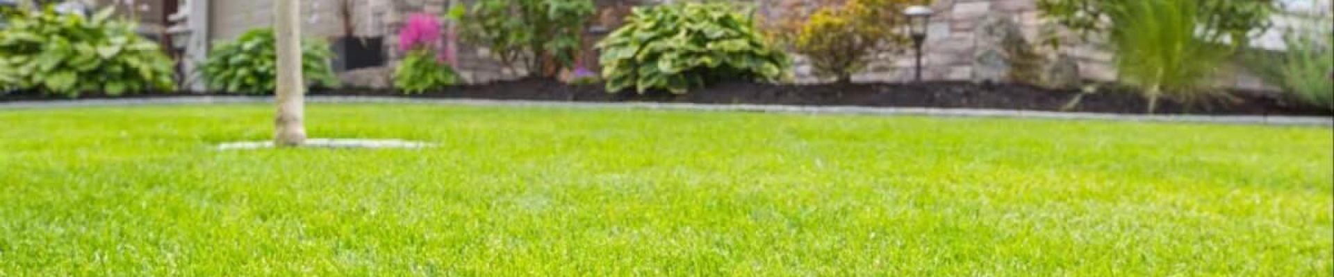 LAWN-SERVICES-2-1 LAWN-SERVICES-2-1